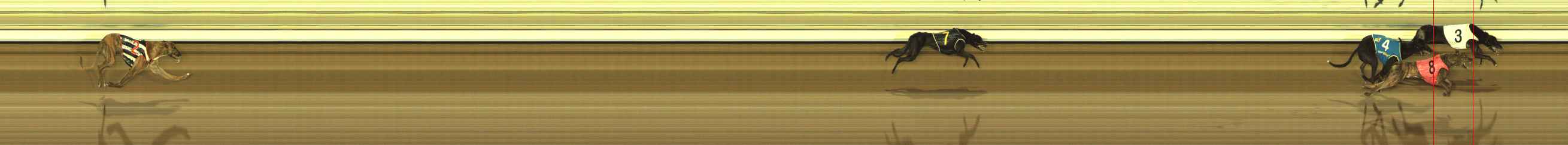 Race result finish photo